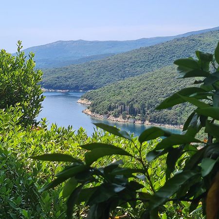 Apartment Rubinić Rabac Exterior foto