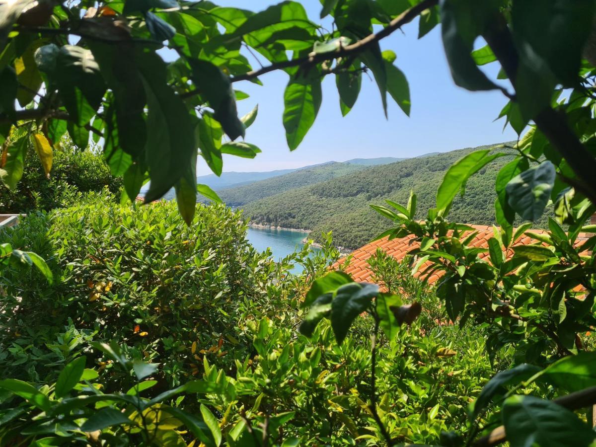 Apartment Rubinić Rabac Exterior foto